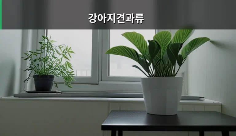 강아지견과류 섭취 시 위험성과 주의사항 가이드