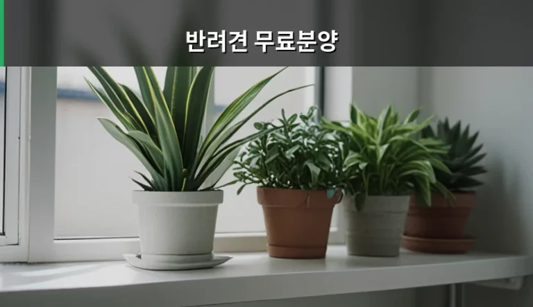 반려견 무료분양 절차와 건강 체크 포인트 가이드