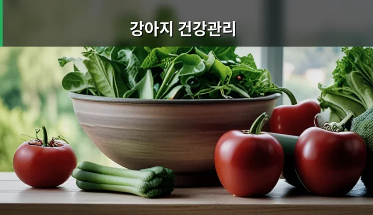 강아지 건강관리 시기별 체크리스트와 필수 가이드