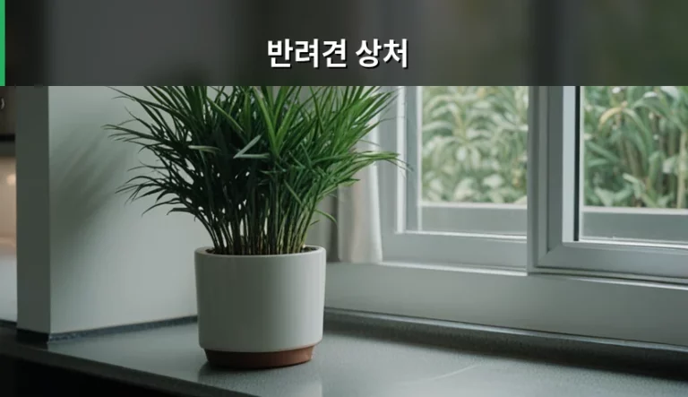 반려견 상처 종류별 대처법과 회복 관리 가이드