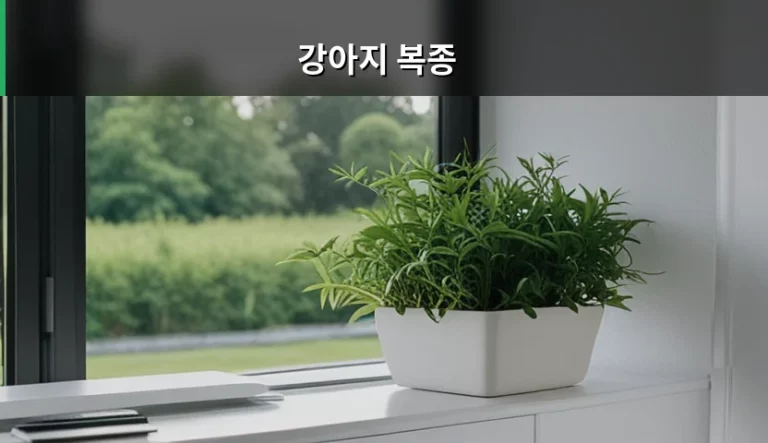 강아지 복종 훈련 시기와 올바른 방법 가이드