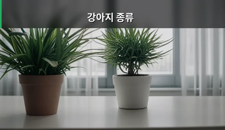 강아지 종류 선택 가이드와 견종별 건강 관리법