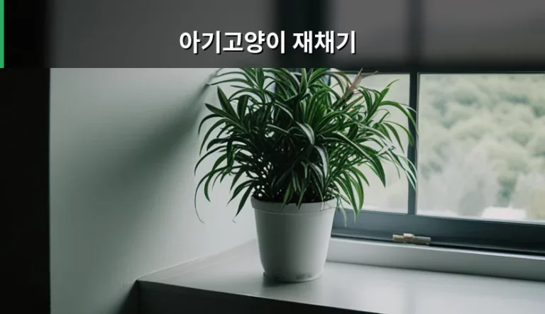 아기고양이 재채기 원인과 증상별 대처 가이드