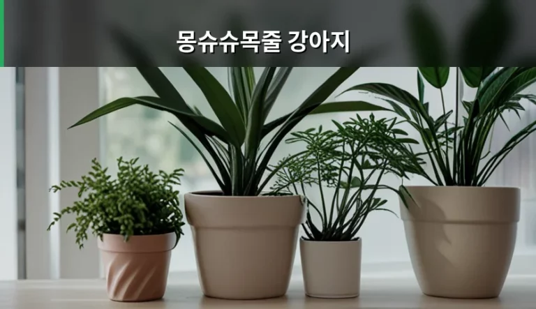 몽슈슈목줄 강아지 선택 가이드와 올바른 착용 방법