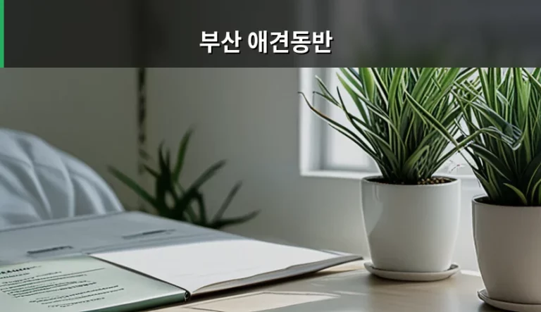 부산 애견동반 나들이를 위한 건강 가이드와 이용 팁
