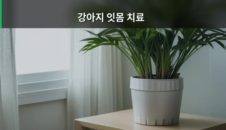 강아지 잇몸 치료 시기와 비용 및 관리 방법