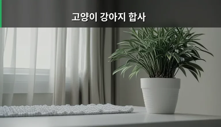 고양이 강아지 합사 성공을 위한 단계별 가이드와 주의사항