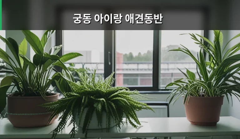 궁동 아이랑 애견동반 방문 가이드와 주의사항