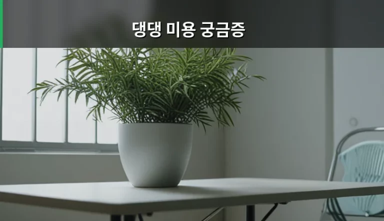댕댕 미용 궁금증 해결을 위한 주기와 관리 방법 가이드