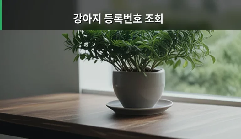 강아지 등록번호 조회 방법과 동물등록제 가이드