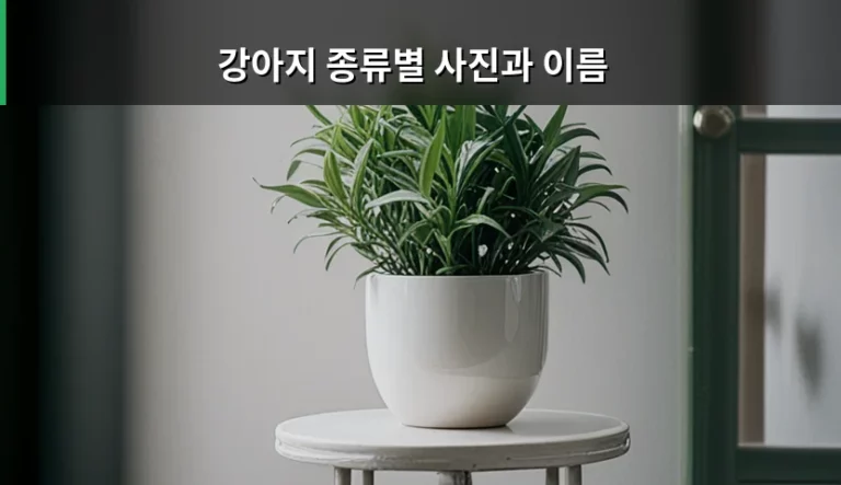 강아지 종류별 사진과 이름 및 견종별 특징 가이드