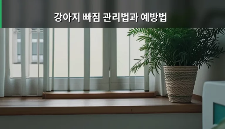 강아지 빠짐 관리법과 예방법 및 원인별 대처 가이드