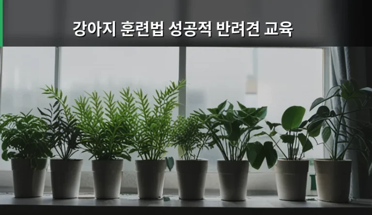 강아지 훈련법 성공적 반려견 교육을 위한 단계별 가이드