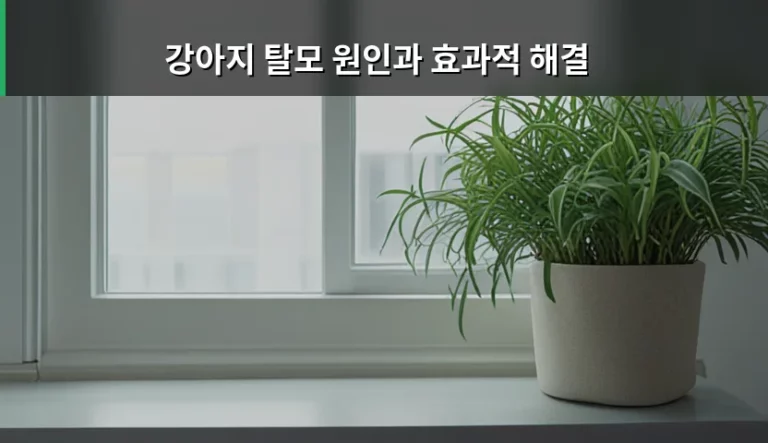 강아지 탈모 원인과 효과적 해결 및 맞춤 관리법