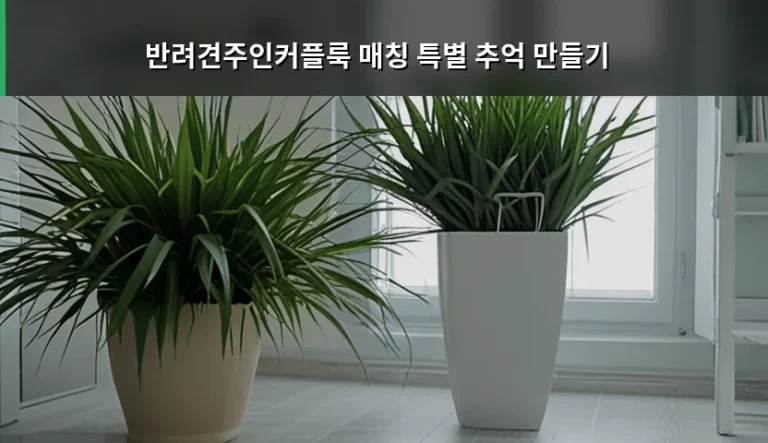 반려견주인커플룩 매칭 특별 추억 만들기 가이드