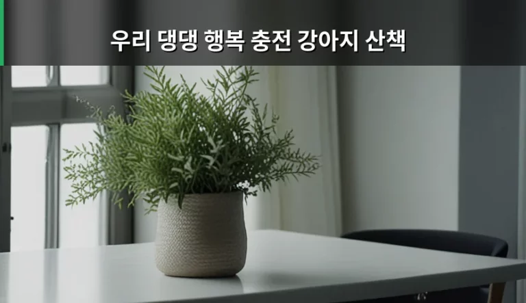 우리 댕댕 행복 충전 강아지 산책 가이드와 주의사항