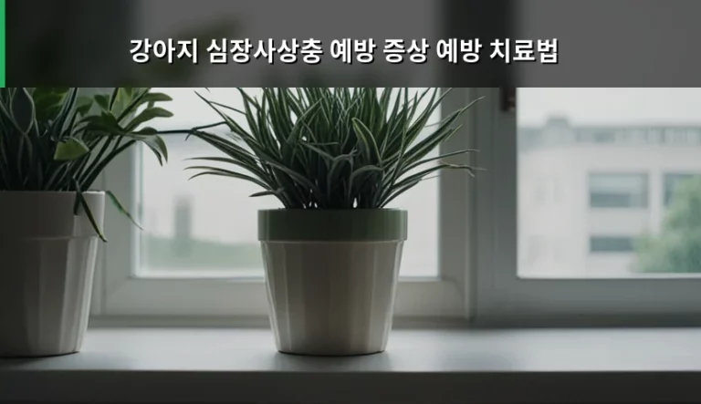강아지 심장사상충 예방 증상 예방 치료법 및 관리 가이드