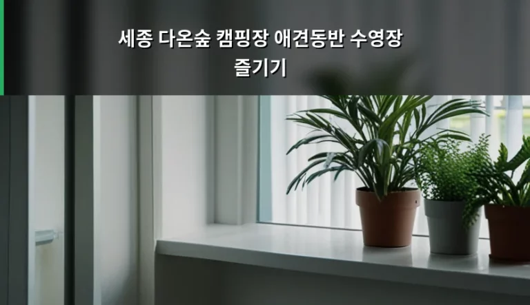 세종 다온숲 캠핑장 애견동반 수영장 즐기기 가이드