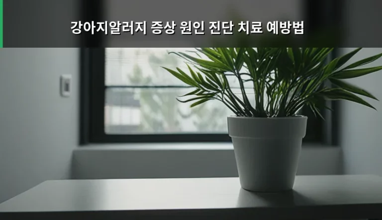 강아지알러지 증상 원인 진단 치료 예방법 상세 가이드