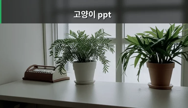 고양이 PPT 제작 가이드와 신뢰할 수 있는 정보 구성법