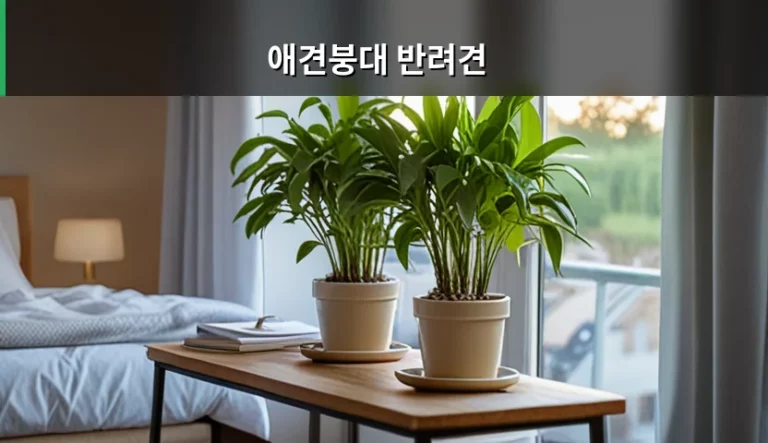애견붕대 반려견 상처 관리와 올바른 사용법 가이드