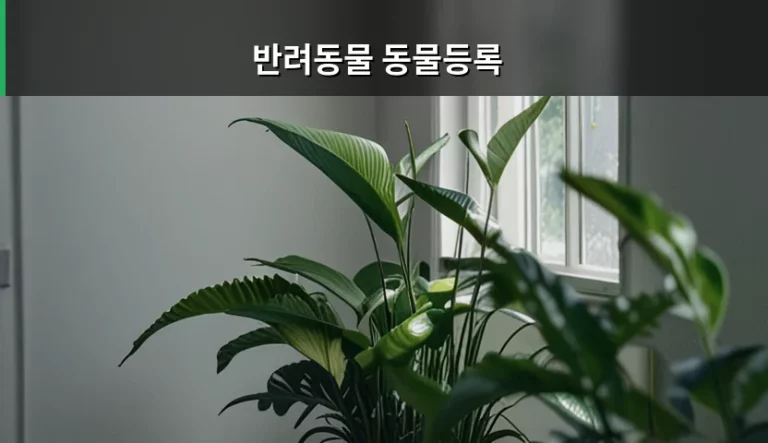 반려동물 동물등록 방법과 과태료 및 주의사항 정리