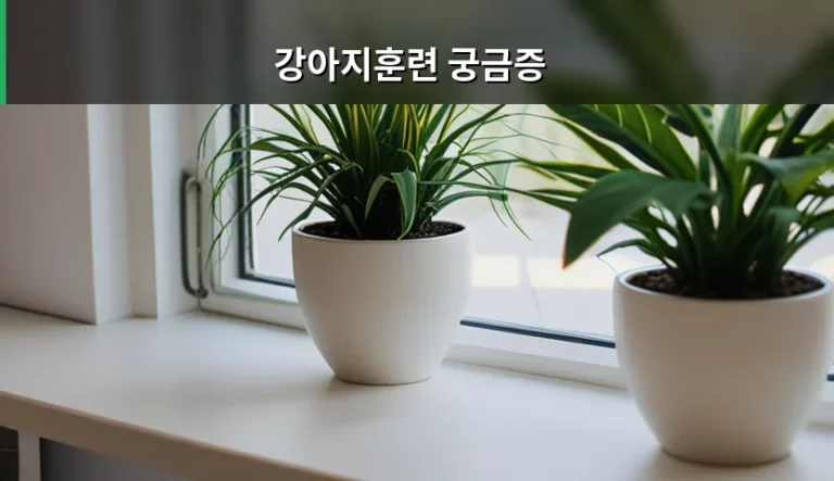 강아지훈련 궁금증 해결을 위한 시기별 맞춤 가이드