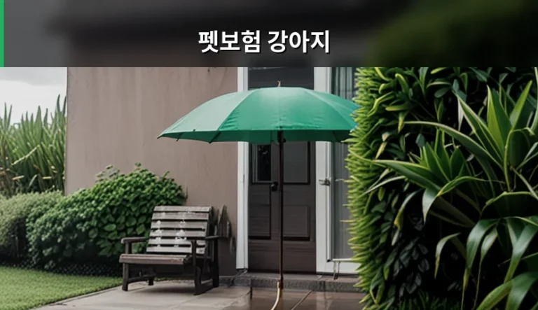 펫보험 강아지 가입 전 꼭 확인해야 할 보장 내용과 비용