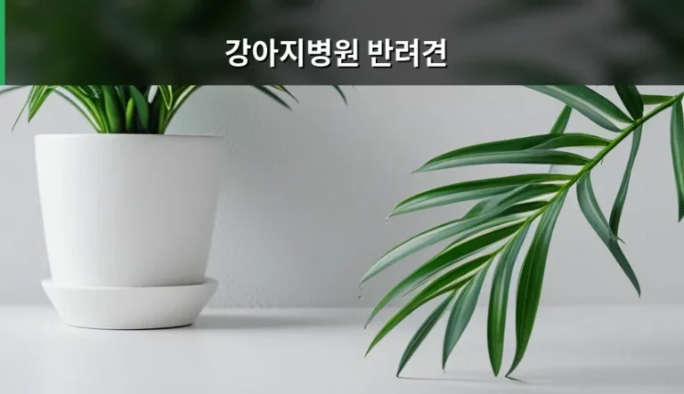 반려견 건강 관리를 위한 강아지병원 선택과 진료 가이드