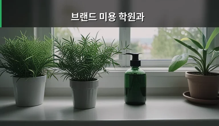 브랜드 미용 학원과 선택 가이드 및 진로 분석
