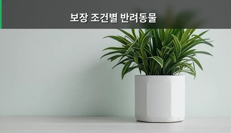 보장 조건별 반려동물 보험 선택 가이드와 주의사항