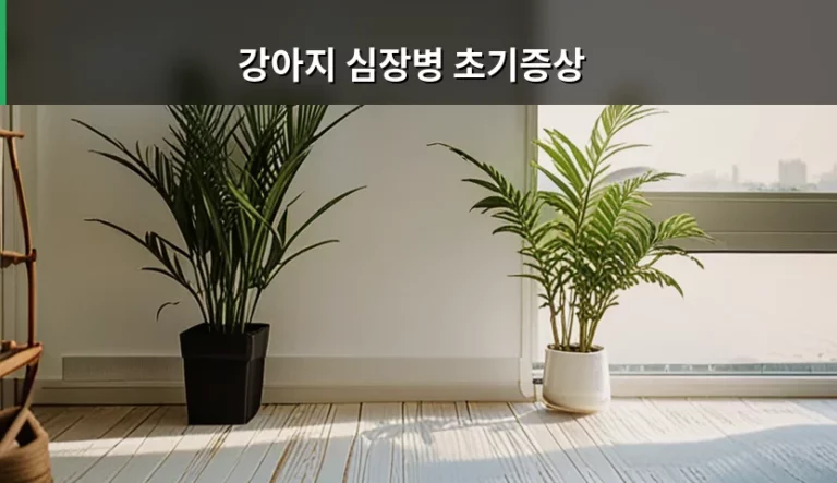강아지 심장병 초기증상과 단계별 관리 방법 안내