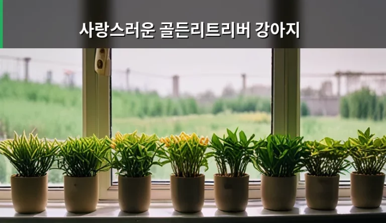 사랑스러운 골든리트리버 강아지 건강 관리와 양육 가이드