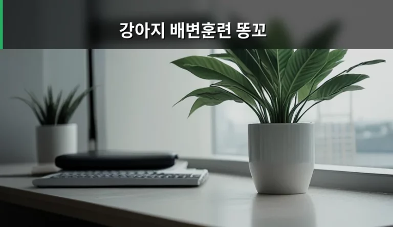 강아지 배변훈련 똥꼬 관리와 단계별 성공 방법