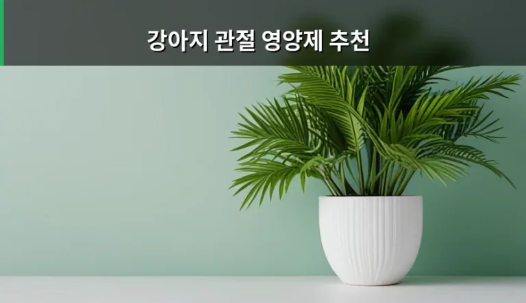 강아지 관절 영양제 추천 성분 선택법과 주의사항