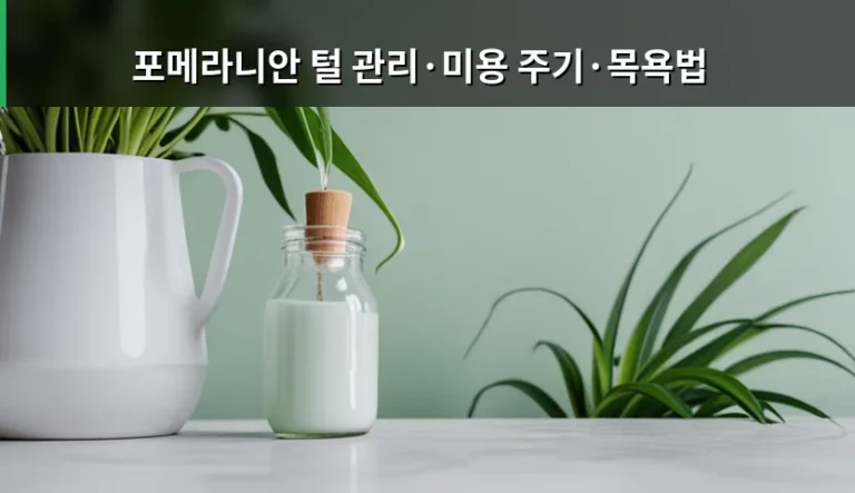 포메라니안 털 관리와 미용 주기 및 올바른 목욕법 가이드