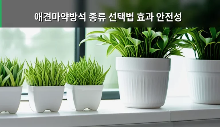 애견마약방석 종류 선택법 효과 안전성 가이드