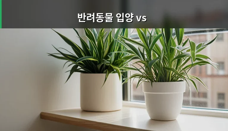 반려동물 입양 vs 구매 선택 전 알아야 할 실전 가이드