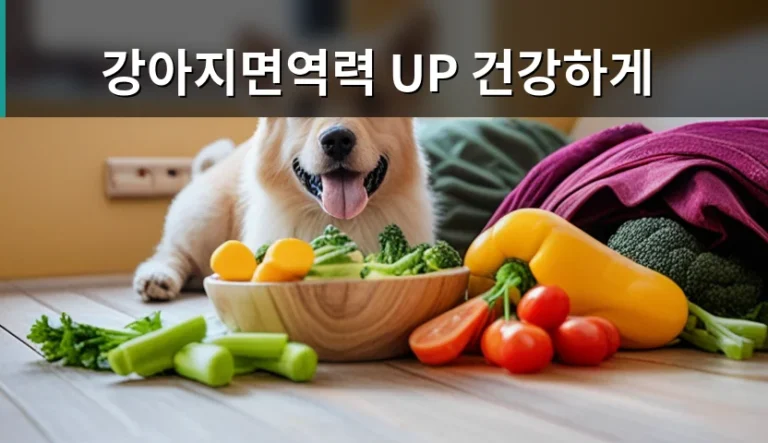 강아지면역력 UP 건강하게 유지하려면 기초 관리가 우선인 이유
