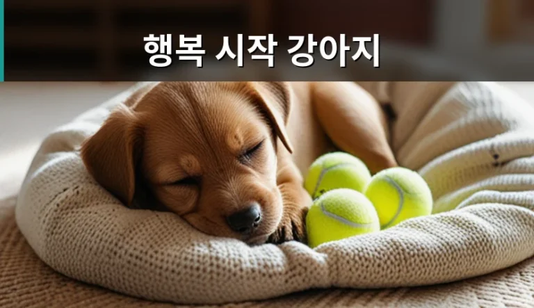 행복 시작 강아지 분양과 입양, 선택의 기준은 무엇일까