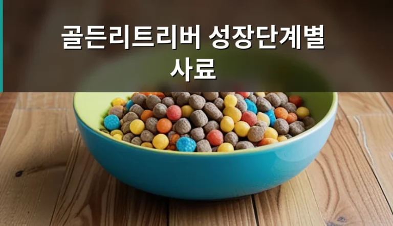 골든리트리버 성장기 사료, 퍼피와 성견용 무엇이 다를까