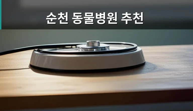 단순히 저렴한 곳만 찾다가 후회하는 순천 동물병원 선택