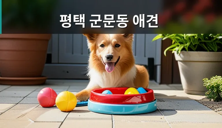 군문동 골목길 산책 중 반려견 등록 여부가 갑작스레 궁금해질 때