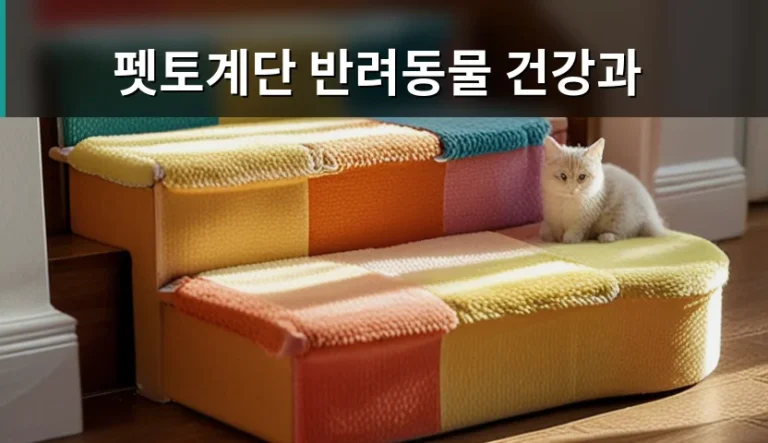 반려동물 건강검진 주기와 보험 가입 시 주의할 점은 무엇일까