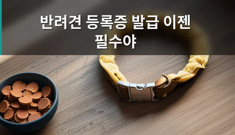 실내견이라 반려견 등록 안 해도 된다고 생각하는 착각
