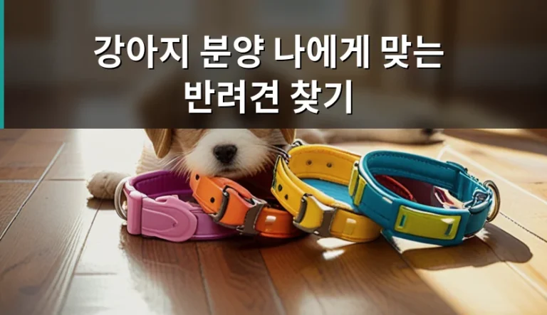 강아지 분양, 내 생활 환경에 딱 맞는 반려견은 누구일까